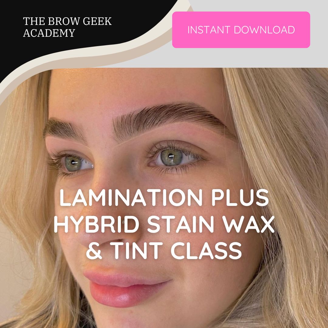 Brow Lamination, Wax, Tint & Hybrid Certification Class